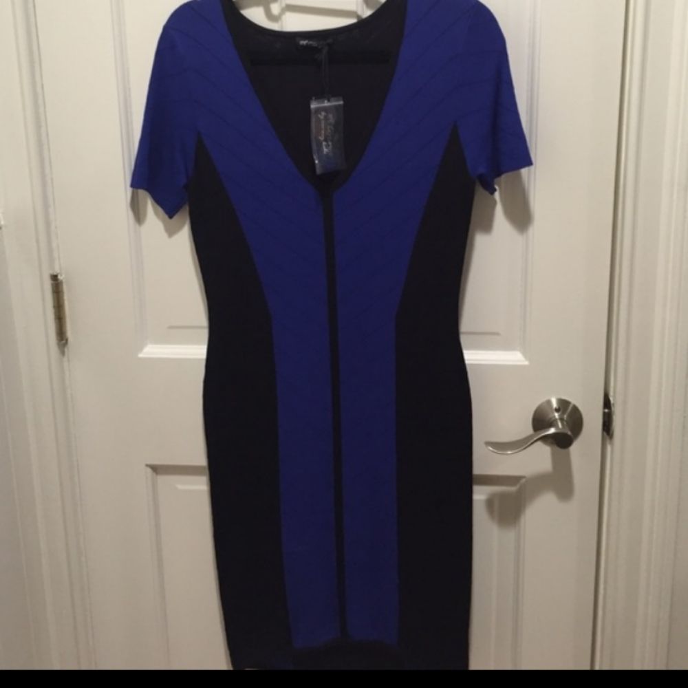 Torn by Ronny Kobo Caterina Pointelle Dress